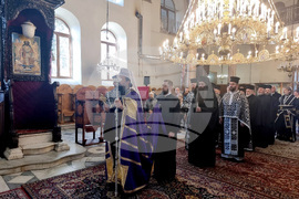 Дупница - патриарх Даниил - литургия