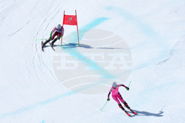 Milan Cortina Paralympics Alpine Skiing