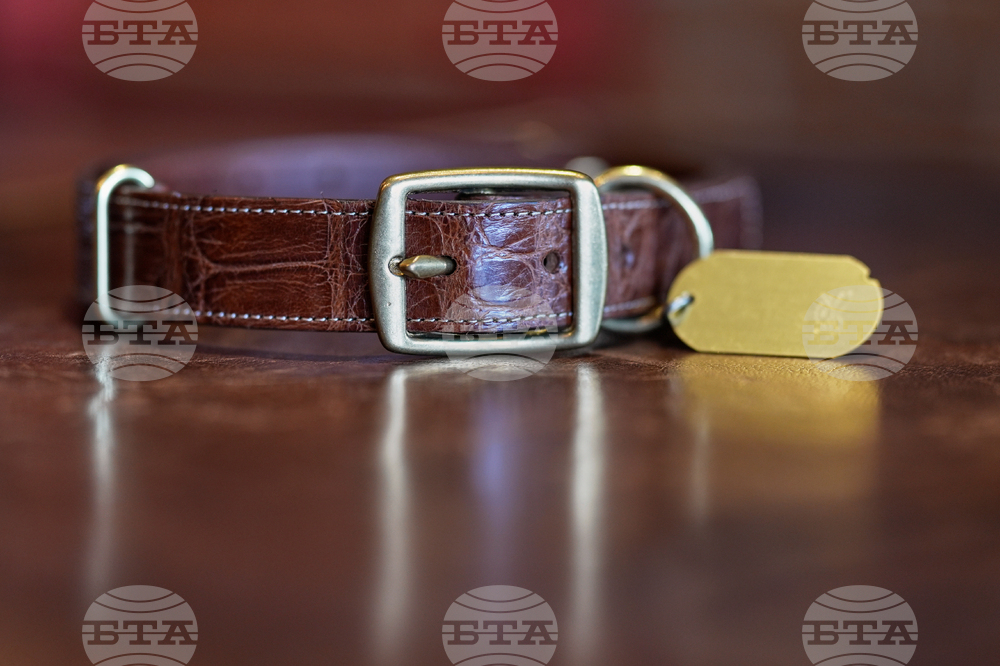 Climate Alligator Farming