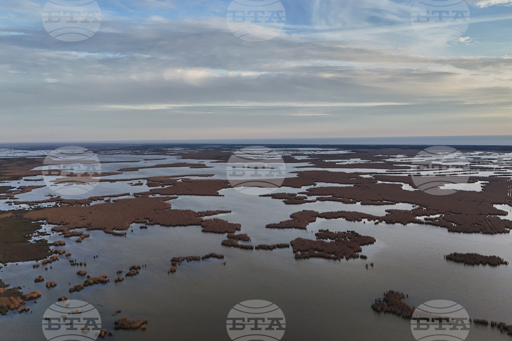 Climate Alligator Farming