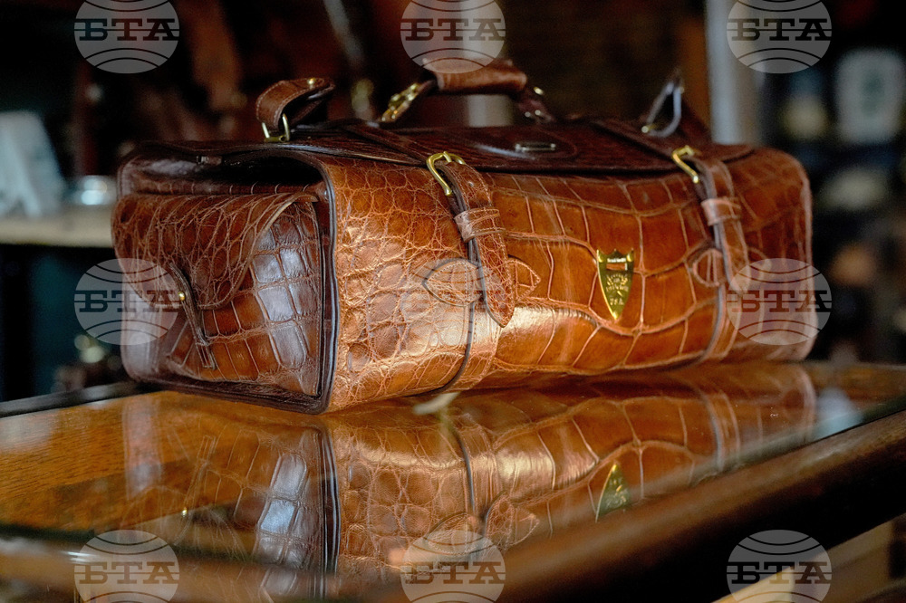 Climate Alligator Farming