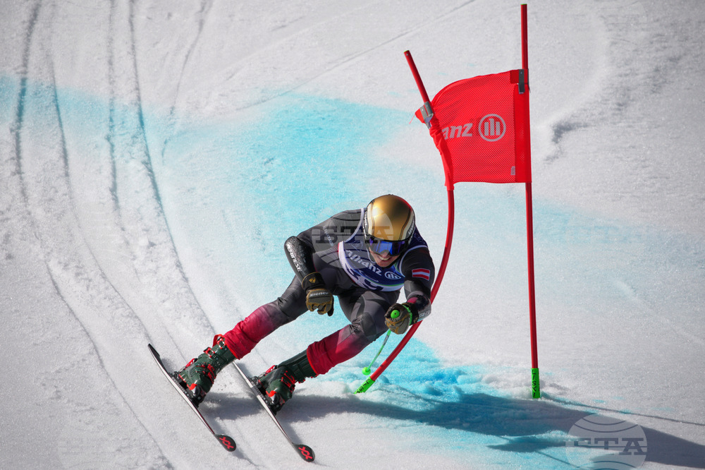 Milan Cortina Paralympics Alpine Skiing
