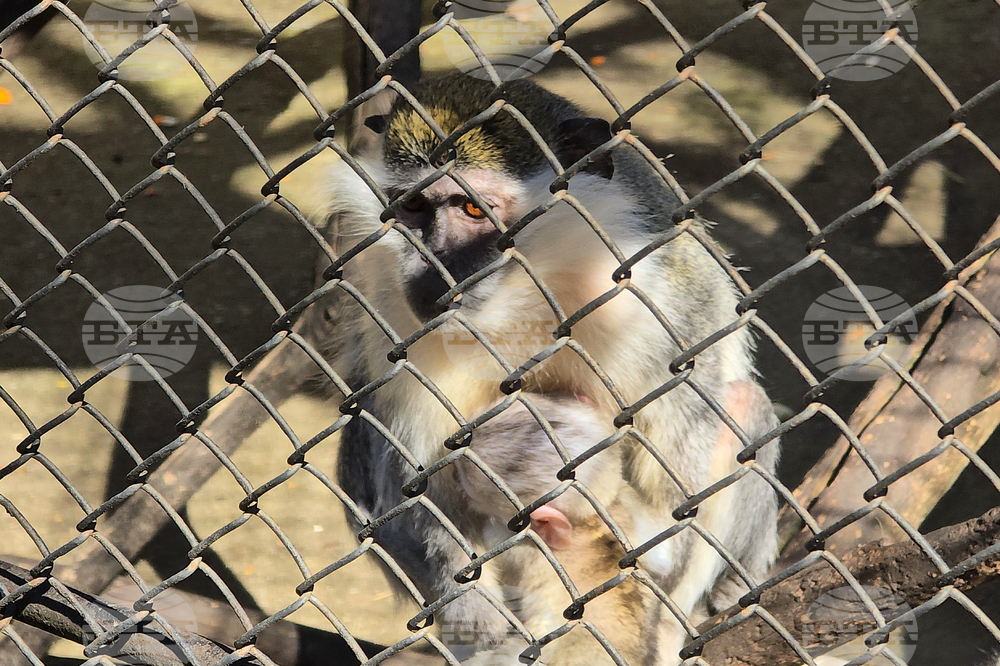 Ловеч - зоопарк - новородени животни