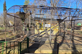 Ловеч - зоопарк - новородени животни