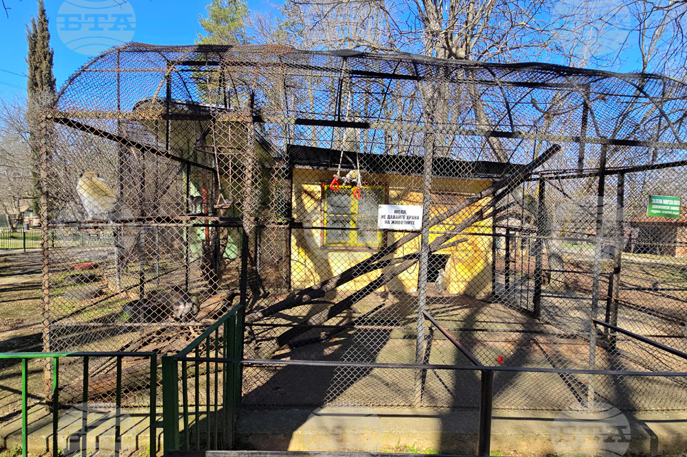 Ловеч - зоопарк - новородени животни