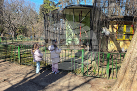 Ловеч - зоопарк - новородени животни