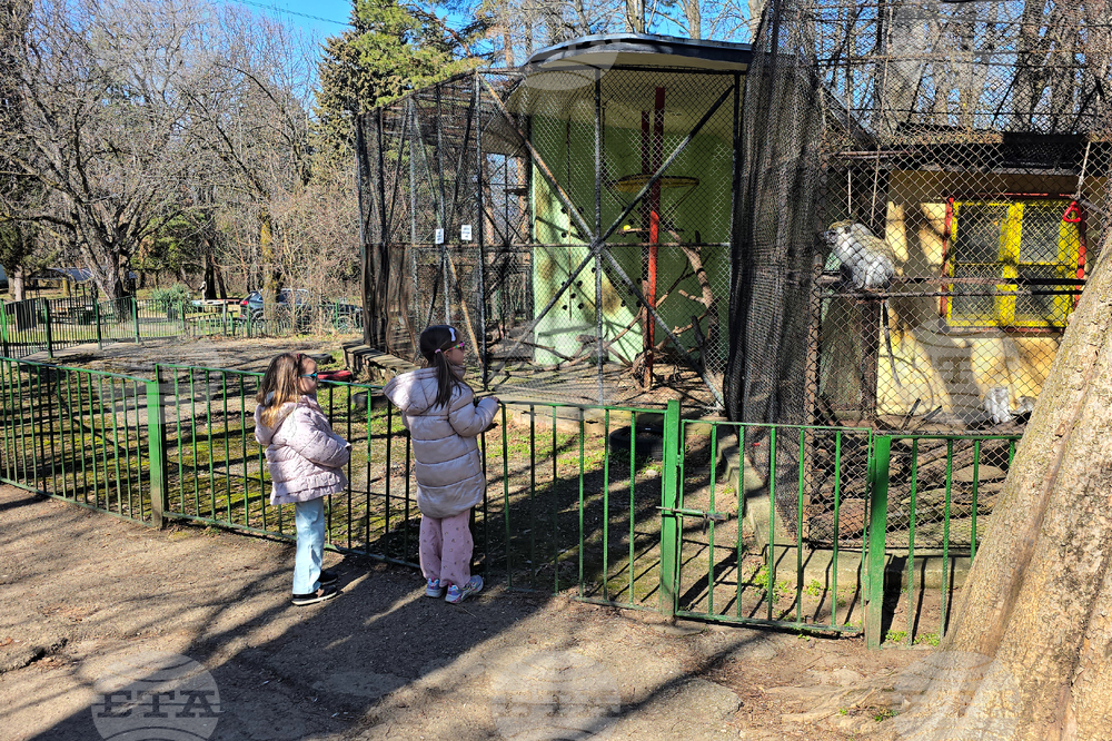 Ловеч - зоопарк - новородени животни