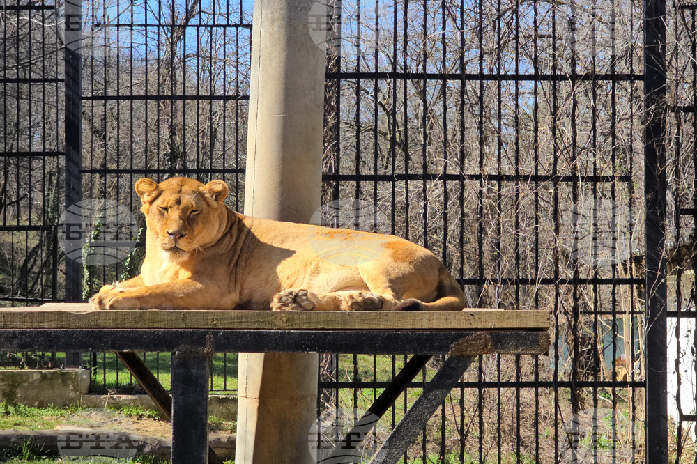 Ловеч - зоопарк - новородени животни