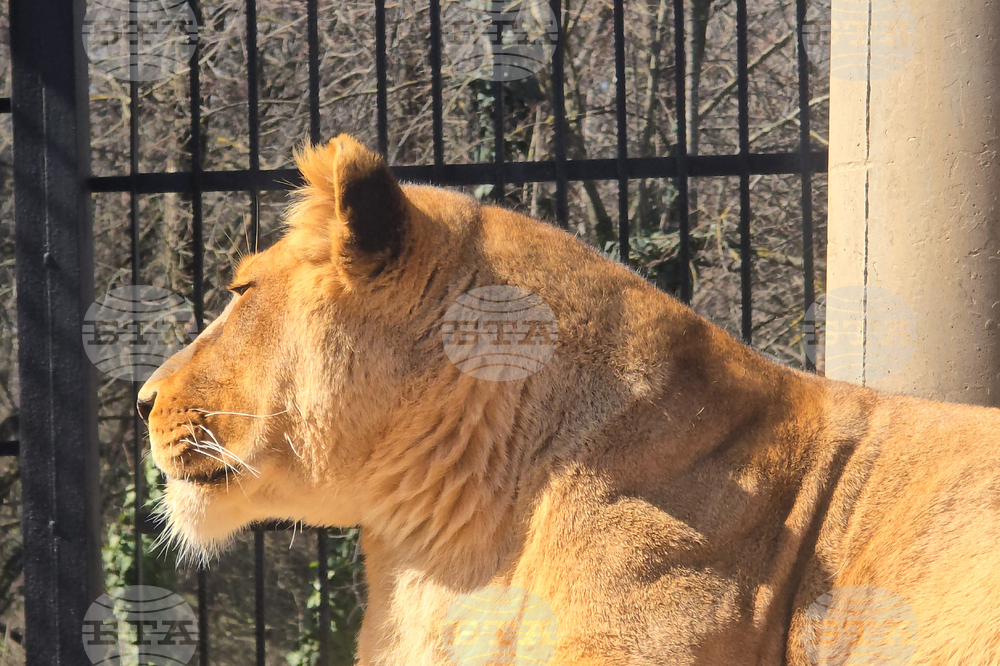 Ловеч - зоопарк - новородени животни
