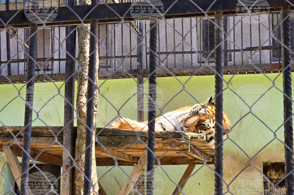 Ловеч - зоопарк - новородени животни