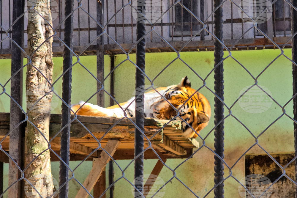 Ловеч - зоопарк - новородени животни