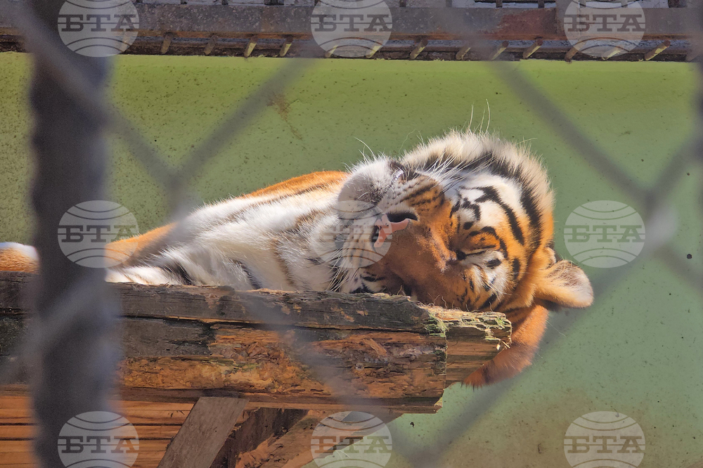 Ловеч - зоопарк - новородени животни