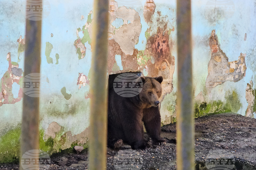 Ловеч - зоопарк - новородени животни