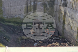 Ловеч - зоопарк - новородени животни