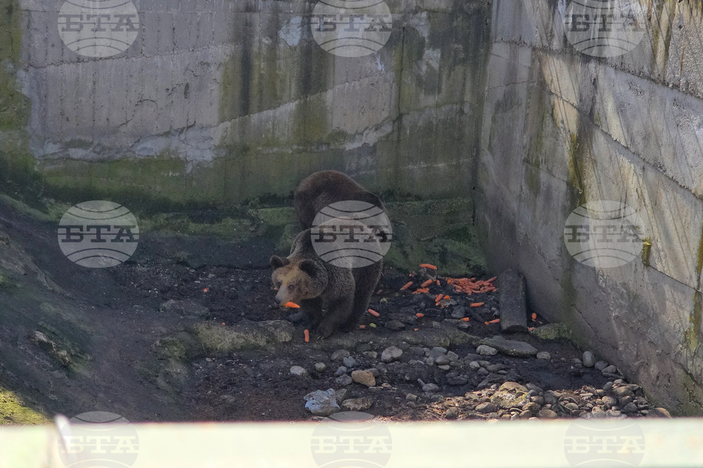 Ловеч - зоопарк - новородени животни