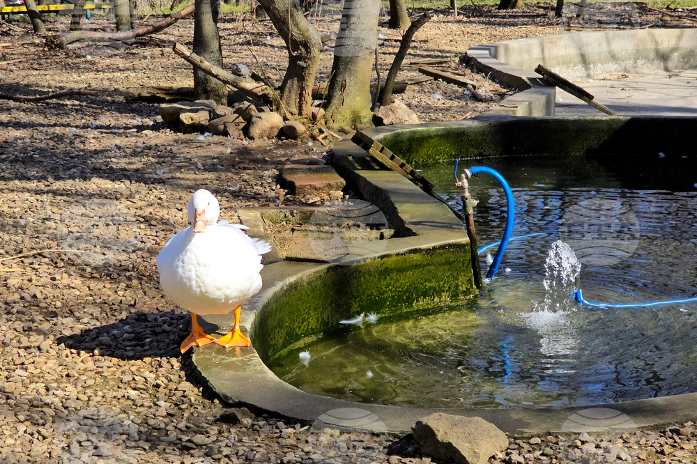 Ловеч - зоопарк - новородени животни