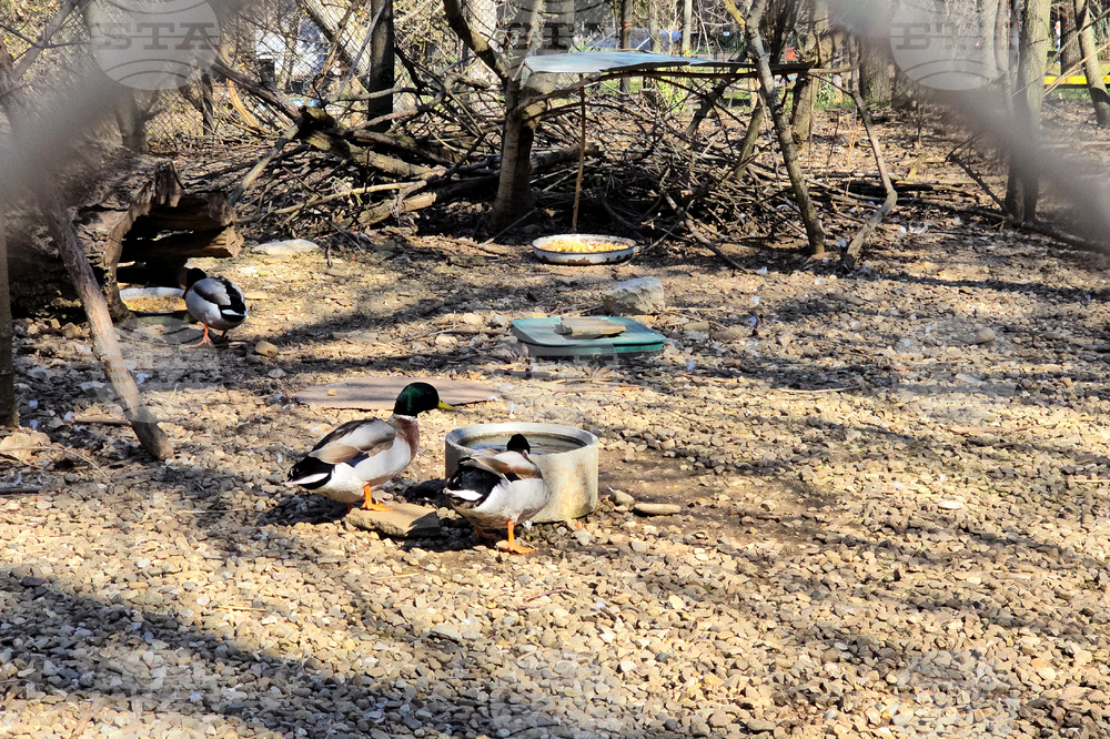 Ловеч - зоопарк - новородени животни