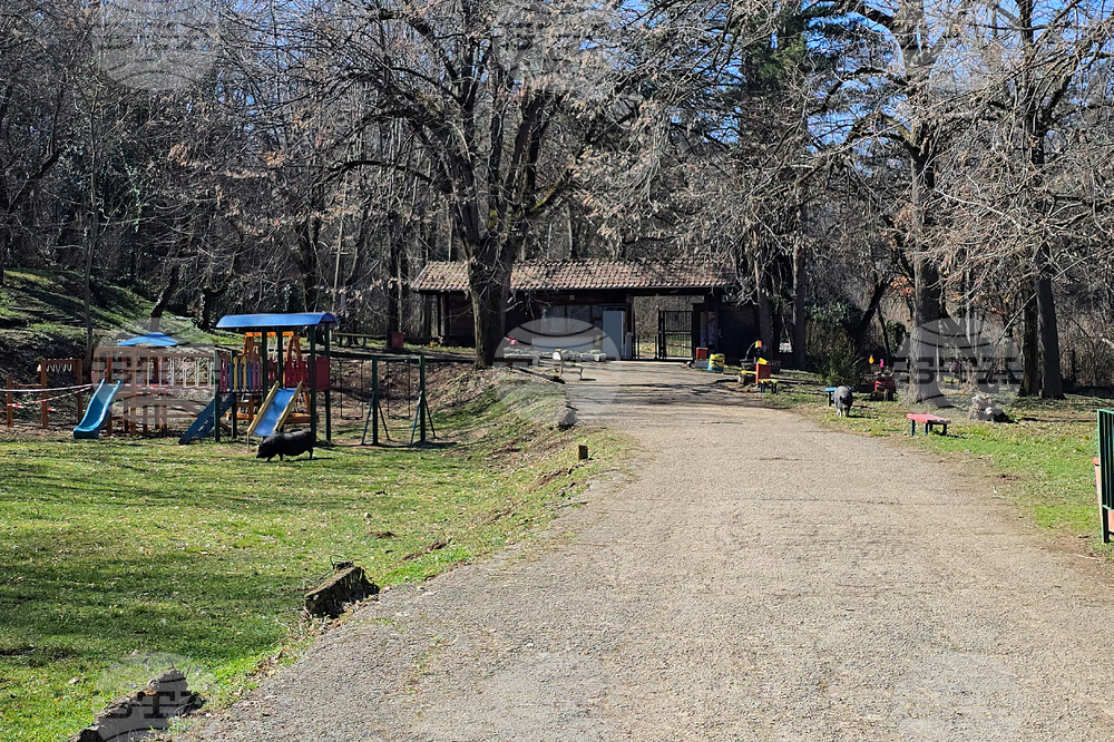 Ловеч - зоопарк - новородени животни