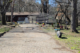 Ловеч - зоопарк - новородени животни