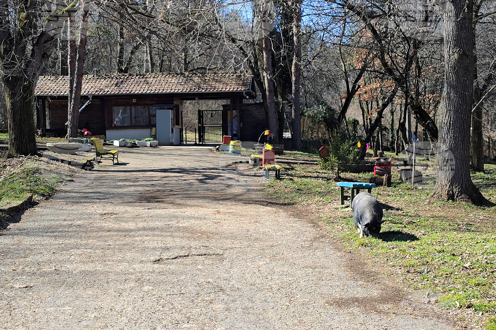 Ловеч - зоопарк - новородени животни