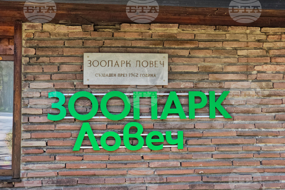 Ловеч - зоопарк - новородени животни