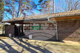 Ловеч - зоопарк - новородени животни