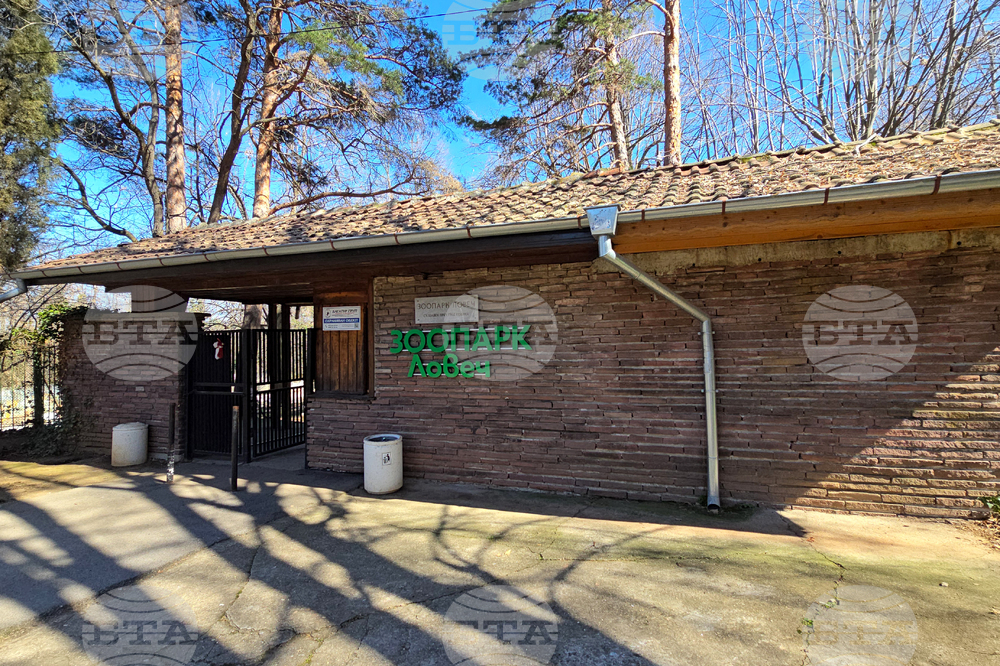 Ловеч - зоопарк - новородени животни