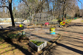 Ловеч - зоопарк - новородени животни