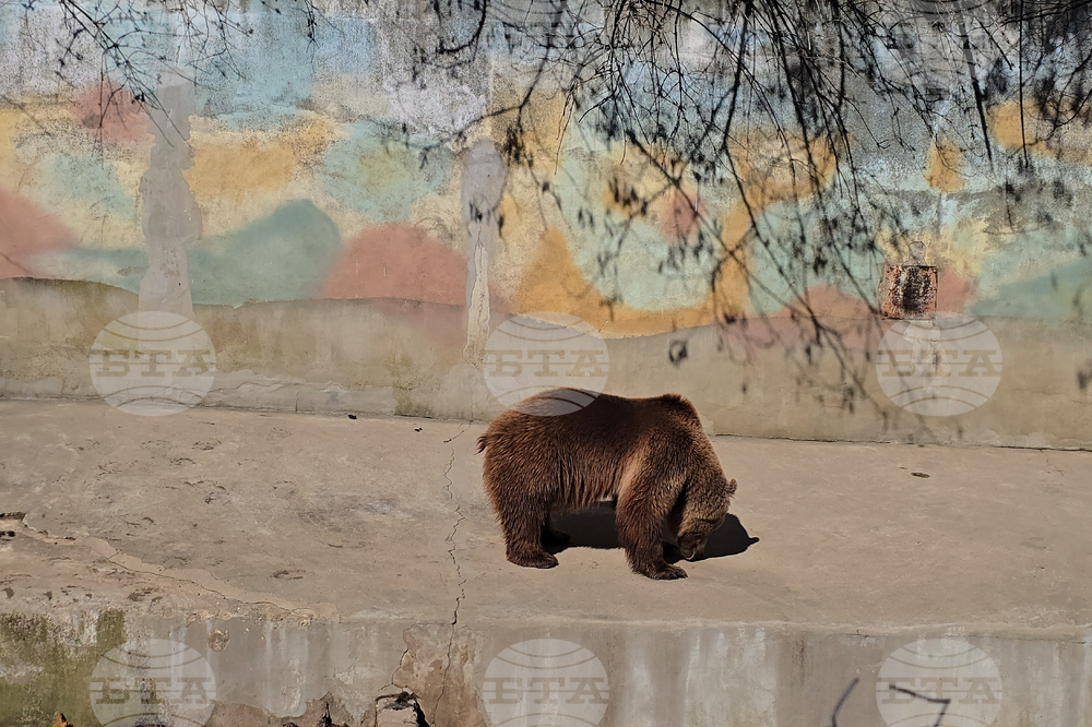 Ловеч - зоопарк - новородени животни