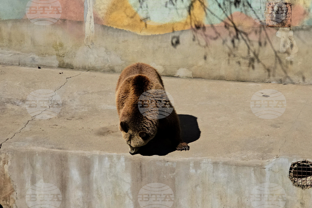 Ловеч - зоопарк - новородени животни