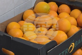 Враца - храни - хранителни отпадъци