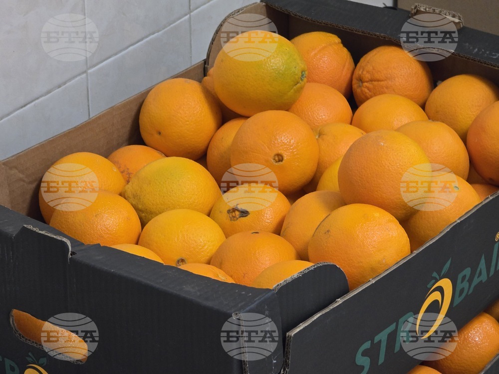 Враца - храни - хранителни отпадъци