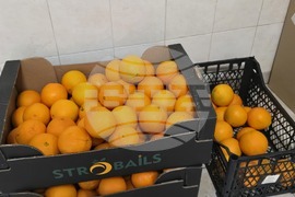 Враца - храни - хранителни отпадъци