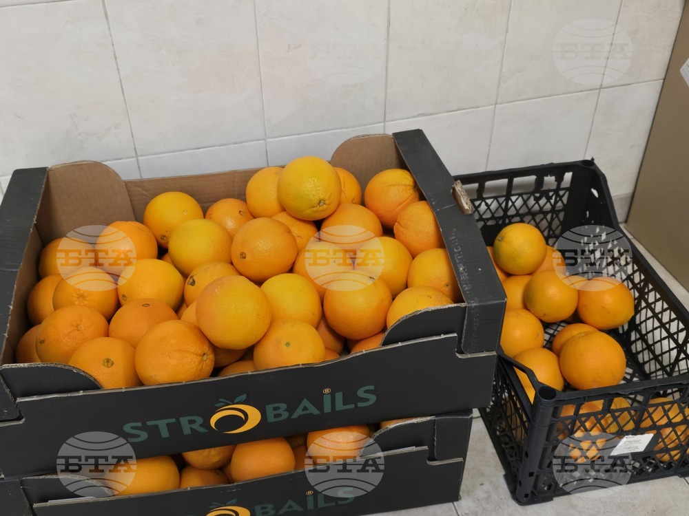 Враца - храни - хранителни отпадъци