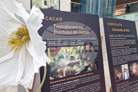 Румъния - Букурещ - фестивал на шоколада