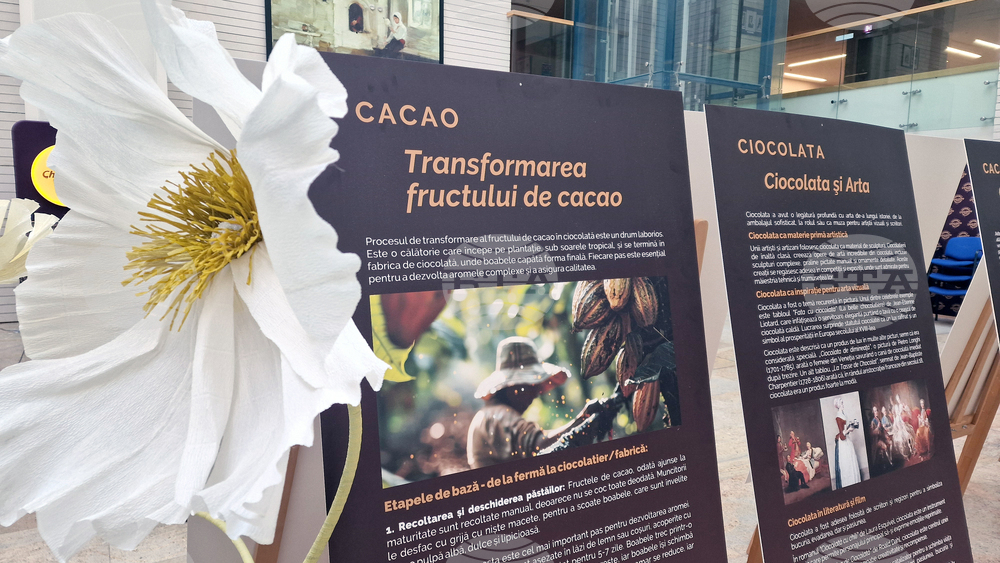 Румъния - Букурещ - фестивал на шоколада