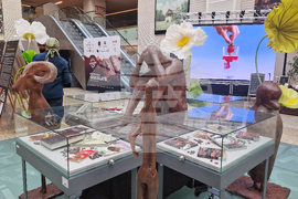 Румъния - Букурещ - фестивал на шоколада