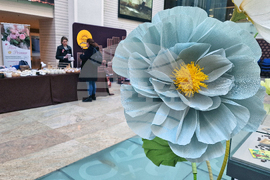 Румъния - Букурещ - фестивал на шоколада