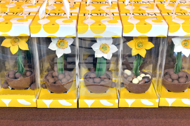 Румъния - Букурещ - фестивал на шоколада