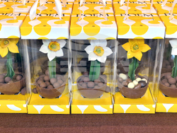 Румъния - Букурещ - фестивал на шоколада