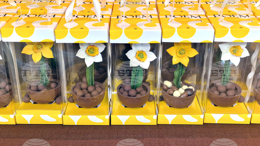 Румъния - Букурещ - фестивал на шоколада