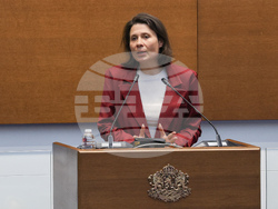 Народно събрание - заседание