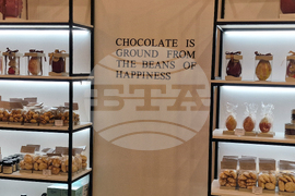 Румъния - Букурещ - фестивал на шоколада