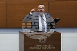 Народно събрание - заседание - Хамид Хамид