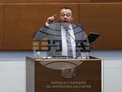 Народно събрание - заседание - Хамид Хамид