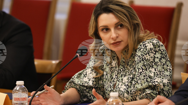 За пореден път заседанието на Комисията по енергетика не се състоя поради липса на кворум 