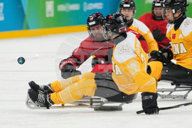 Milan Cortina Paralympics Ice Hockey