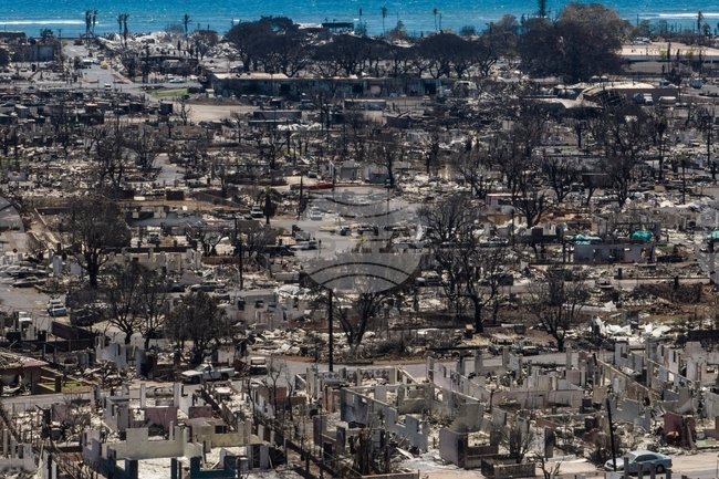 Hawaii Wildfires-Mental Health