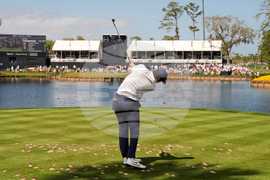 Players Championship Golf