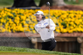 Players Championship Golf